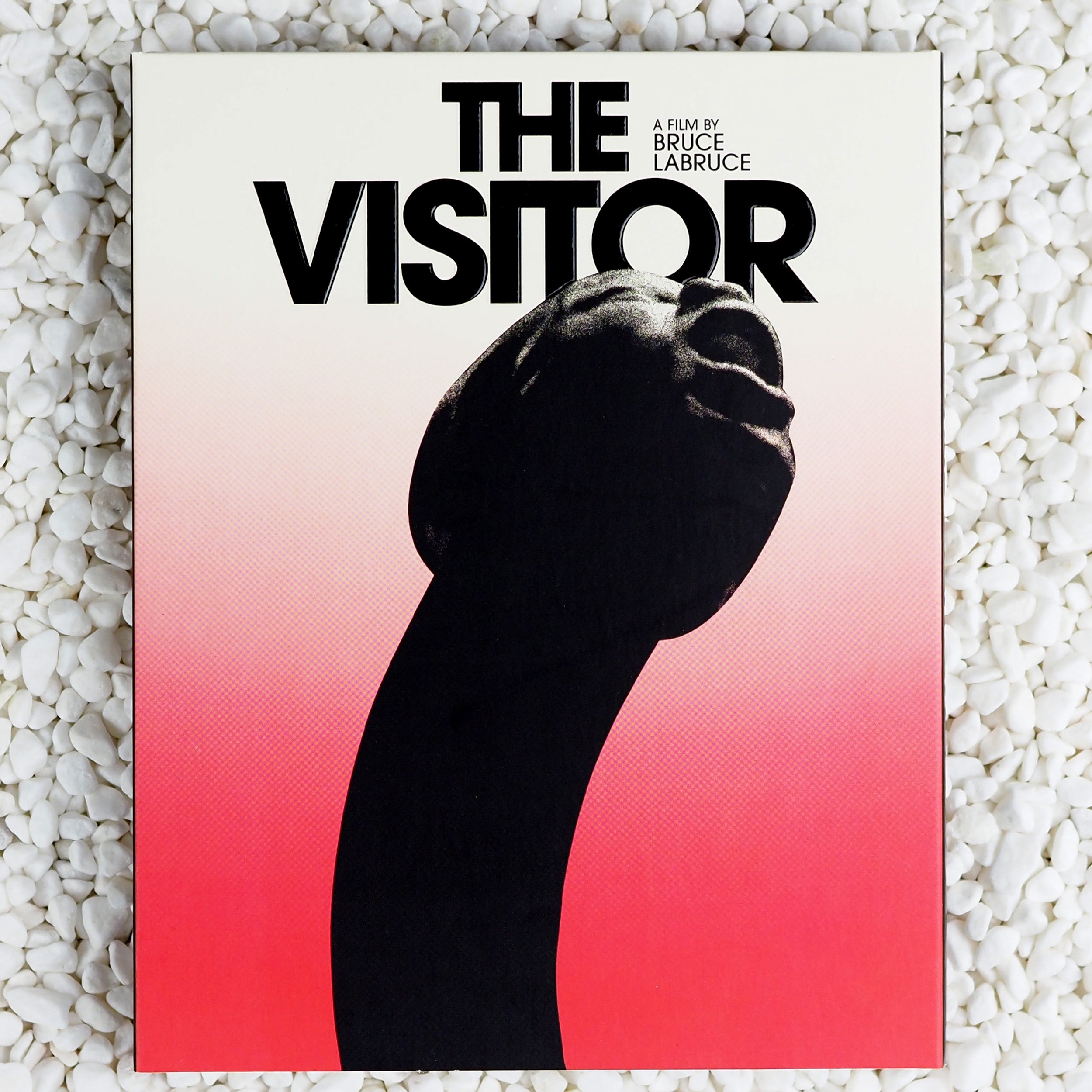 The Visitor