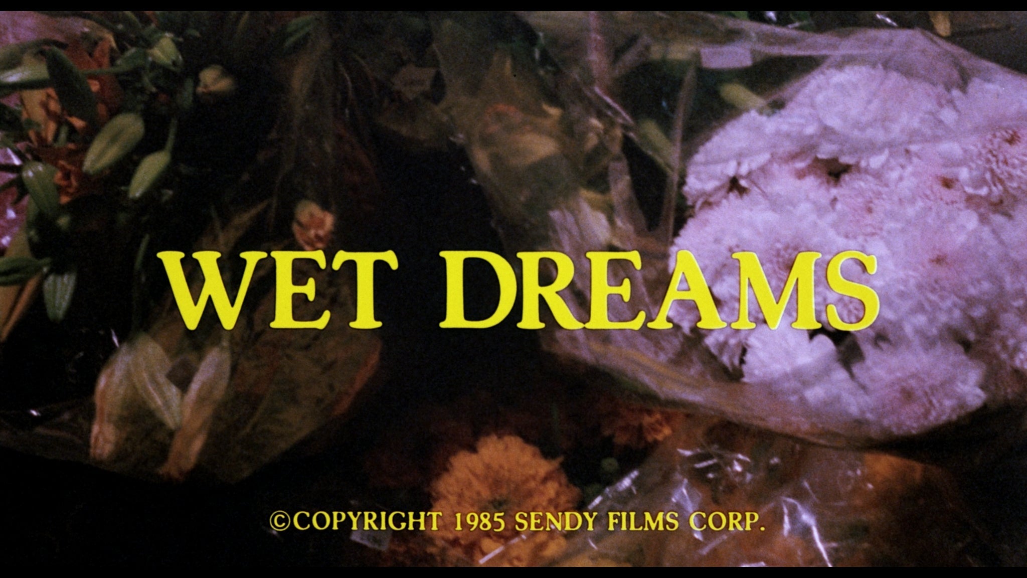 Climax! / Wet Dreams 19 Climax! / Wet Dreams
