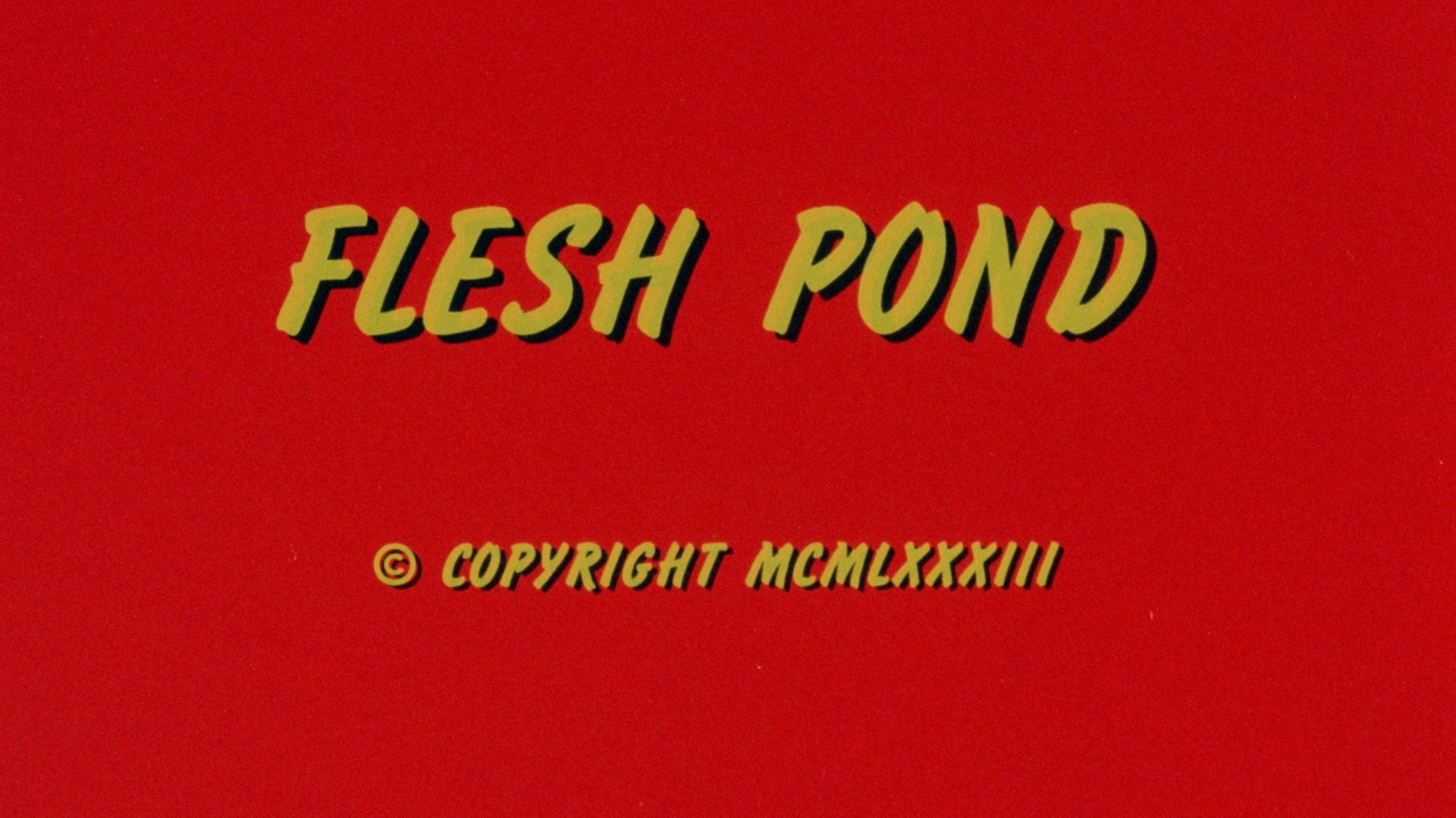 Anticipation / Flesh Pond 13 Anticipation / Flesh Pond