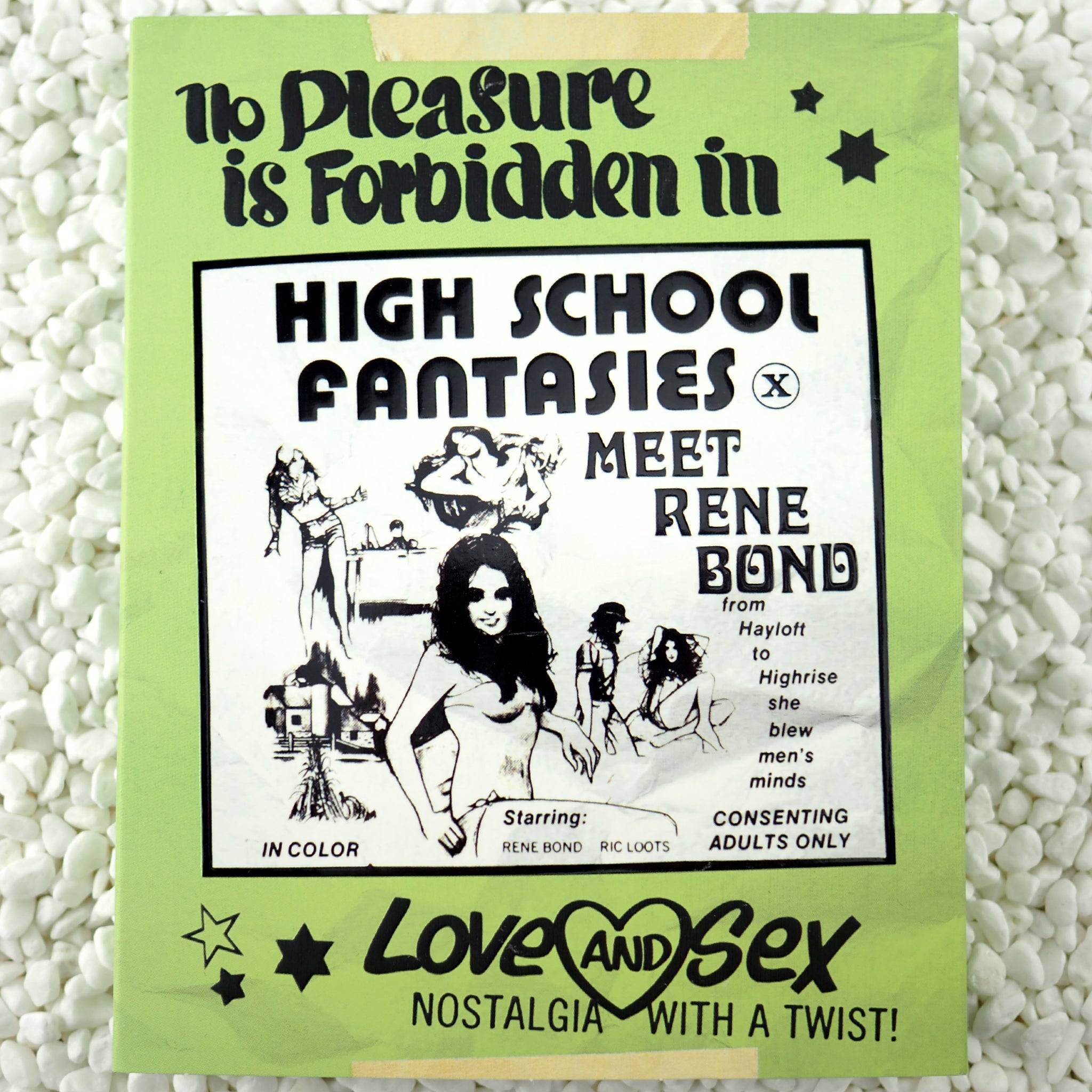 High School Fantasies