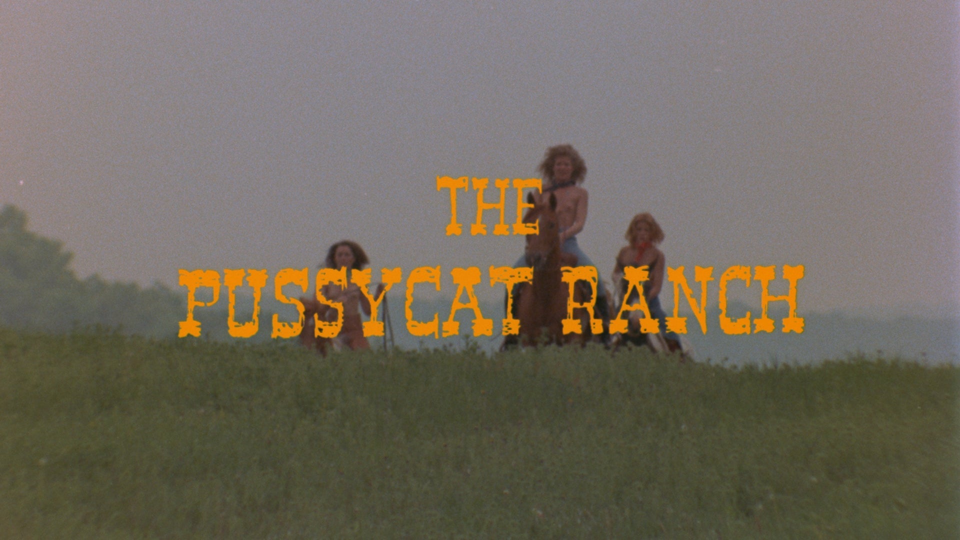 Pussycat Ranch / Here Comes the Bride 4 Pussycat Ranch / Here Comes the Bride