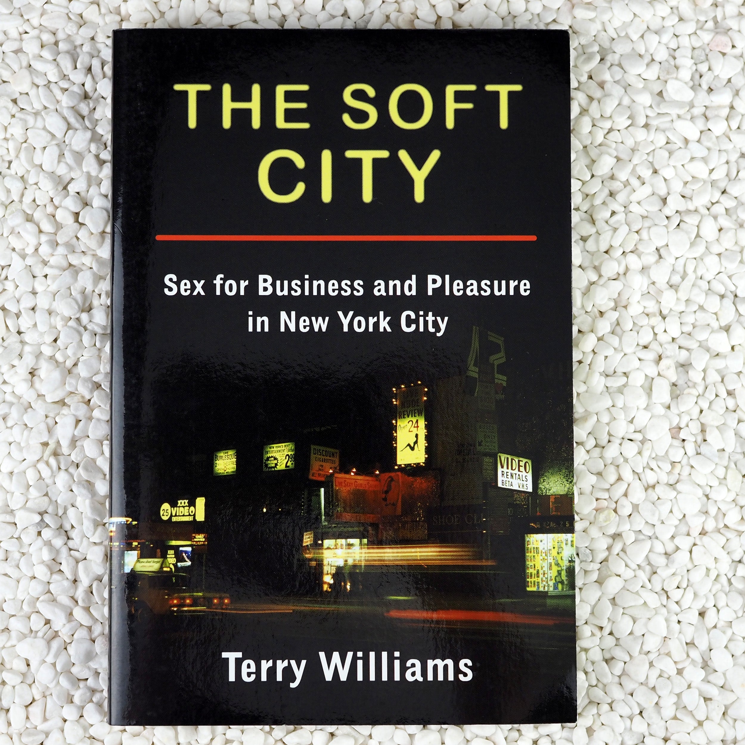 The Soft City: Sex for Business and Pleasure in New York City - Paperback Book