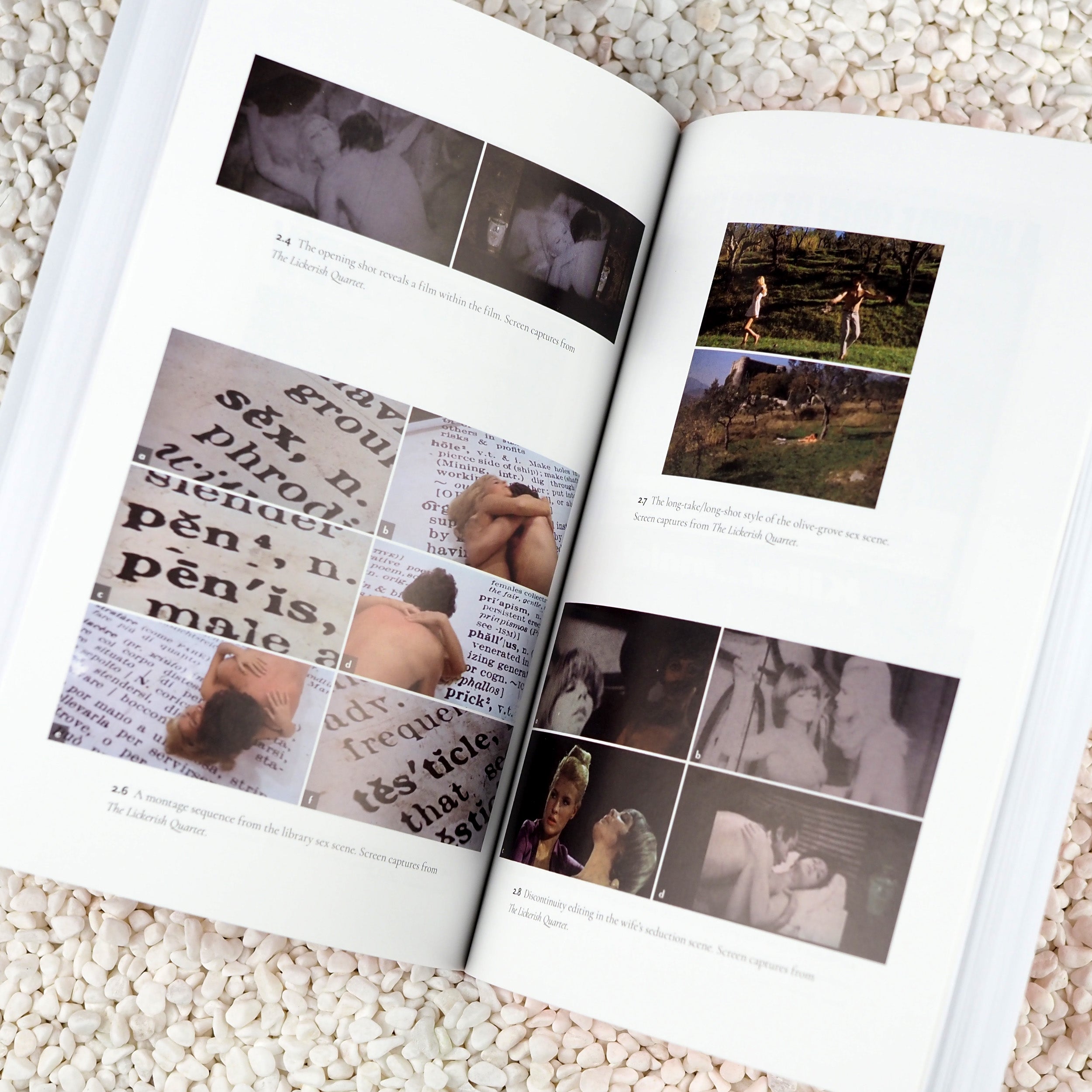 Man of Taste: The Erotic Cinema of Radley Metzger - Paperback Book 4 Man of Taste: The Erotic Cinema of Radley Metzger - Paperback Book