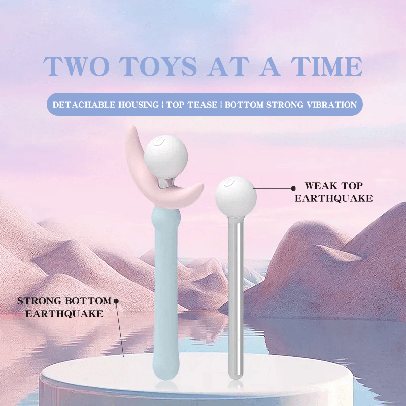 Princess and Rose Truncheon Vibrator Detachable Adult Toys 6 Princess and Rose Truncheon Vibrator Detachable Adult Toys
